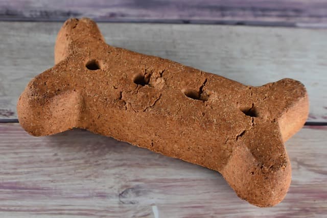 dog-biscuit